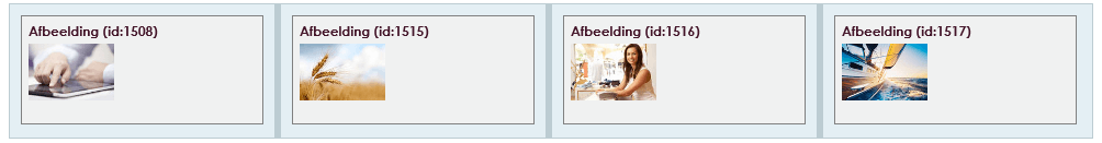 Afbeelding 005