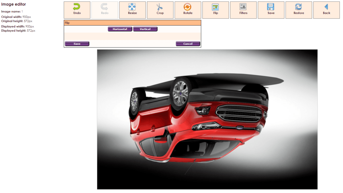 image-editor-flip