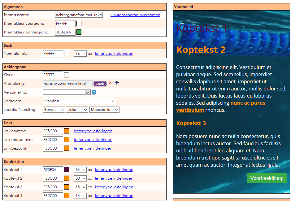 websitebeheer-achtergrondfoto-tekst-knop-001