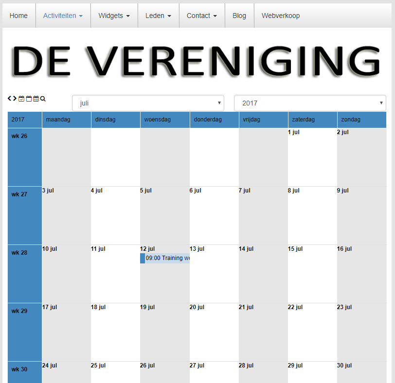 websitebeheer-systeempagina-activiteiten-06